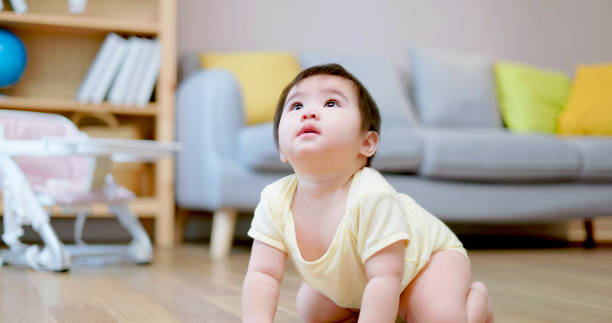 istock Baby crwaling on floor 1442299265