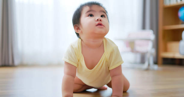 istock Baby crwaling on floor 1442299285