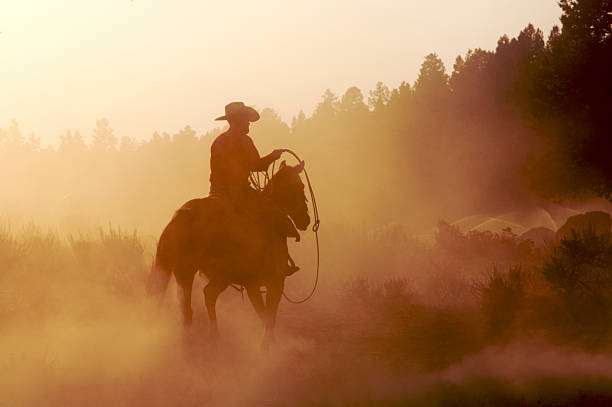 cowboy ao anoitecer - cowboy cowboy hat hat summer - fotografias e filmes do acervo