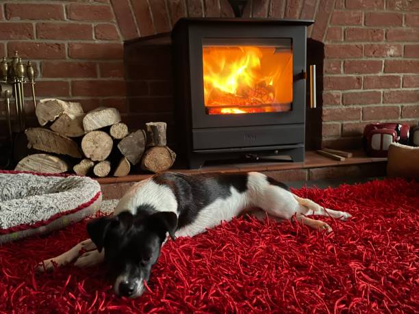 istock Dog in front of wood burner 1442300763