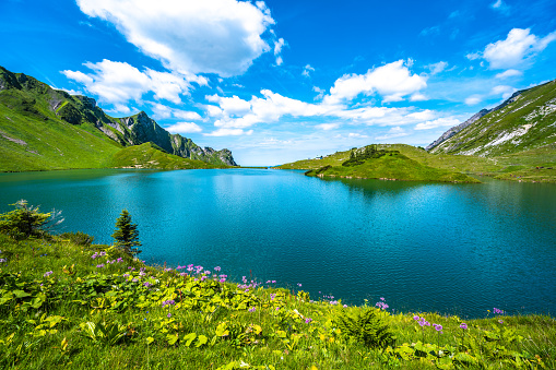 Description: Idyllic turquoise mountain lake in the afternoon with alpine meadow purple flowers in the foreground. Schrecksee, Hinterstein, Allgäu High Alps, Bavaria, Germany.