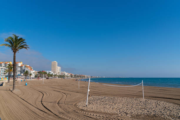 Peniscola beach with palm tree and volleyball net Costa del Azahar Spain stock photo