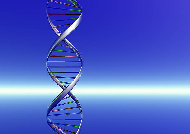 Doble hélice de ADN - foto de stock