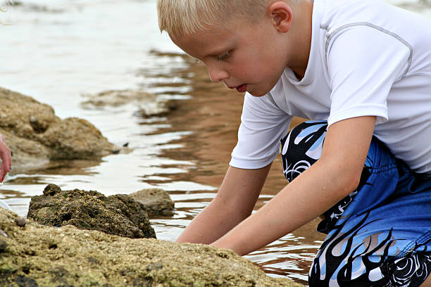 Ragazzo gioca nel Marea piscina - foto stock