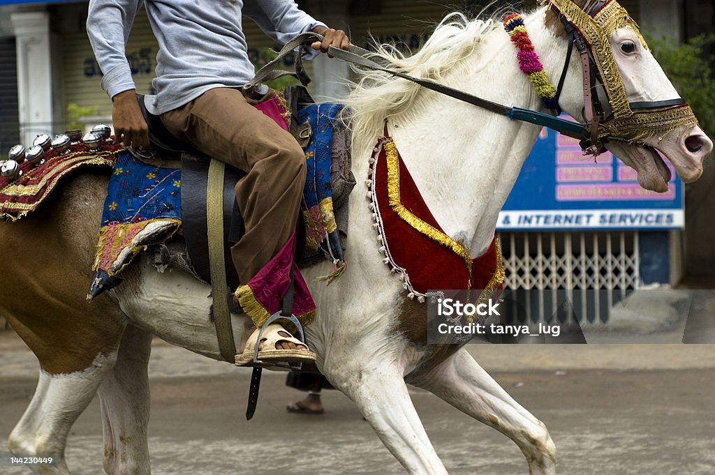 Лошадь в трафика - Стоковые фото Атлетизм роялти-фри
