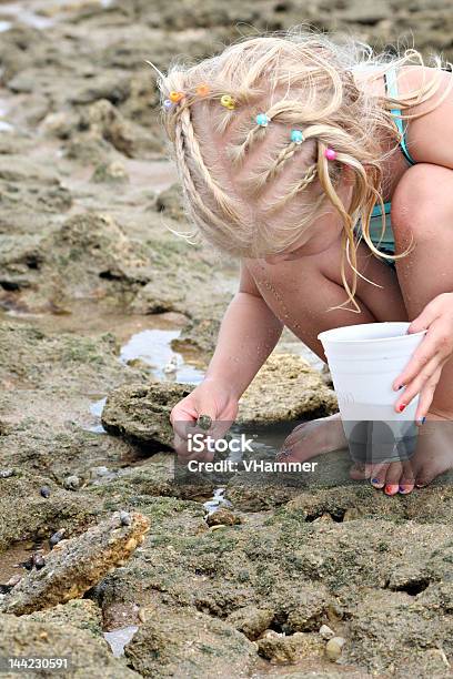 Chica En Marea La Piscina Que Forma Parte De Una Serie Foto de stock y más banco de imágenes de Agua