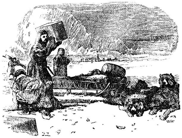 Chukchi People and Chukotka Sled Dog Team on the Chukotka Peninsula, Russia  - 19th Century Chukchi people and Chukotka sled dogs on the Chukotka Peninsula, Russia. Vintage etching circa 19th century. chukchi stock illustrations