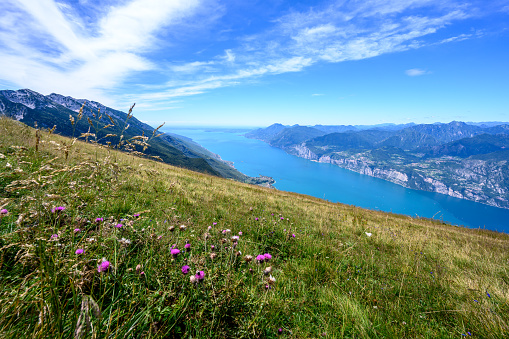 Scenic flowery meadow with view on lake Garda from hike trail on Monte Baldo. Italy.