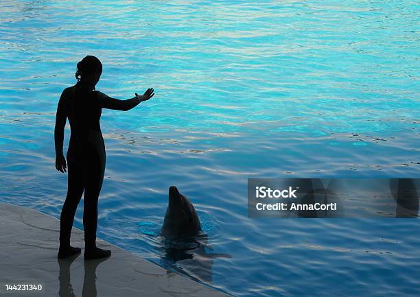 The Teacher And Her Pupil Stock Photo - Download Image Now - Dolphin, Animal Trainer, Exhibition