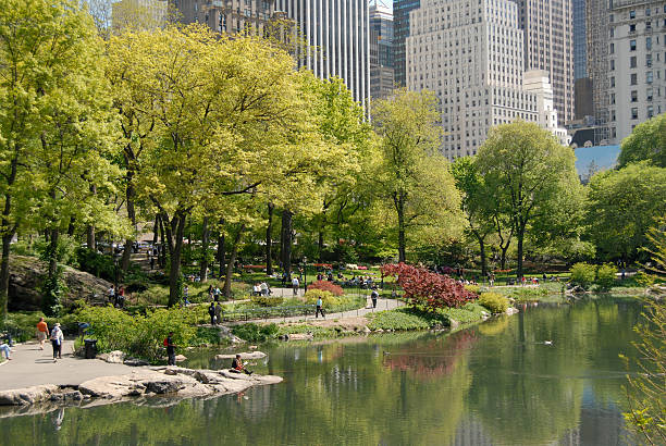 istock The Central Park on a warm and shiny day 144231434