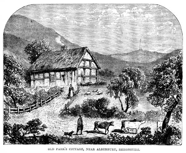 Parr's Cottage in Shropshire, England The cottage and farm of Thomas "Old Tom" Parr (c. 1482/1483 (reputedly) – November 13, 1635), an Englishman who allegedly lived for 152 years. Illustration published 1868. Source: Original edition is from my own archives. Copyright has expired and is in Public Domain. british beef cow stock illustrations