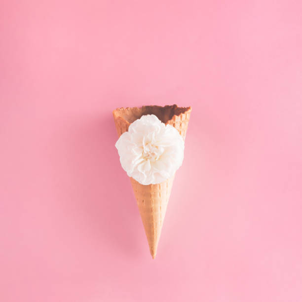 istock Empty Ice cream cone and rose flower on pink background. Summer creative layout concept. 1442319606