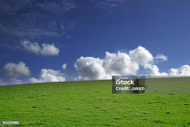 Grünen Gras Und Blaue Himmel Landschaft Stockfoto und mehr Bilder von Abstrakt - Abstrakt, Agrarbetrieb, Anhöhe