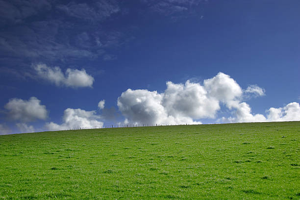 Green grass and blue sky - landscape stock photo