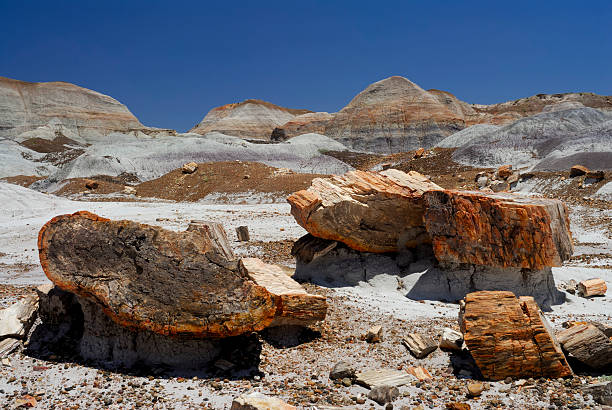 istock Blue Mesa at Petrified Forest National Park 144232227