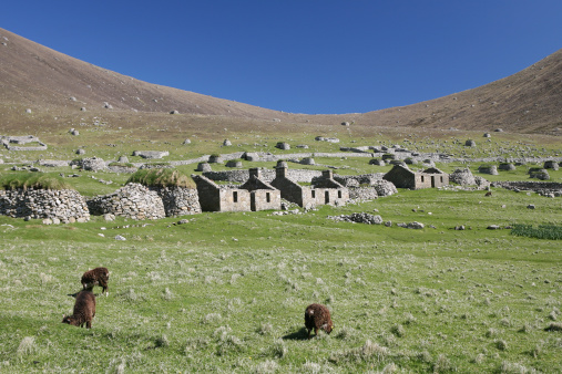The ruins of the abandoned village, St Kilda, with 