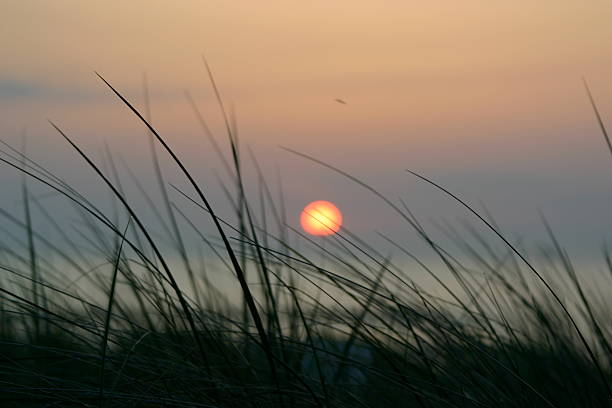 istock sunset at the baltic sea 144232372