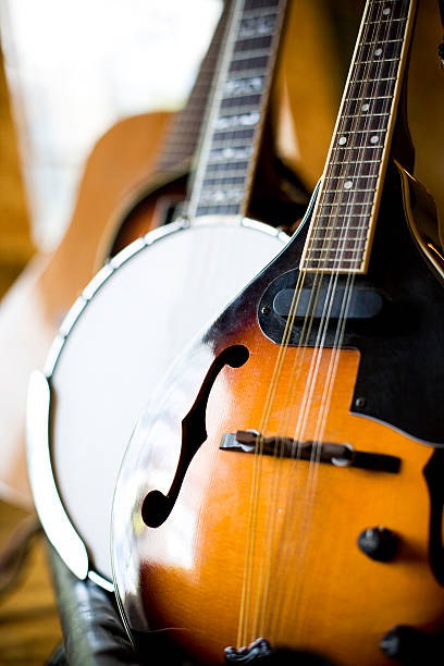 istock Mandolin, Banjo, Acoustic Guitar 144232415