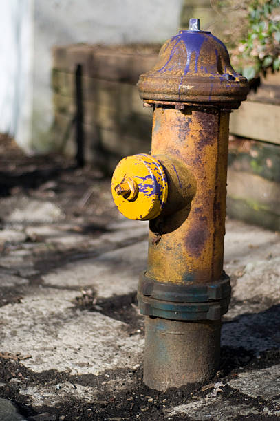 Colorful fire Hydrant stock photo