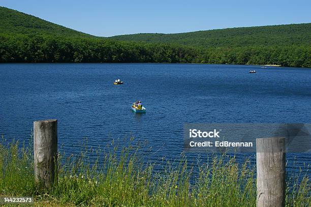 Wanderheuschrecke Blick Auf Den See Stockfoto und mehr Bilder von See - See, Wanderheuschrecke, Pennsylvania