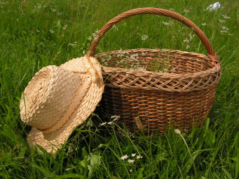 Wicker basket and hat on grass
