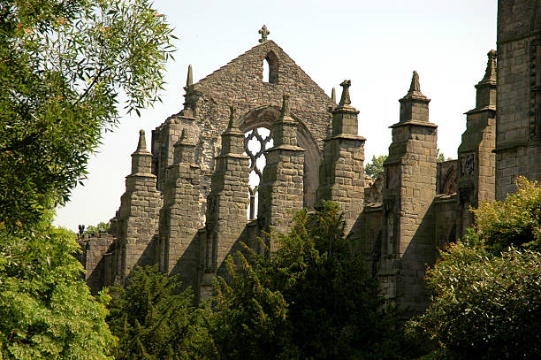 Church ruins in a forest stock photo