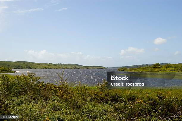 Photo libre de droit de Lac Dans Connemaraireland banque d'images et plus d'images libres de droit de Burren - Burren, Ciel, Comté de Clare