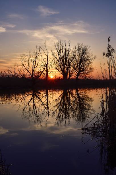 istock Beautiful summer landscape. 1442329383