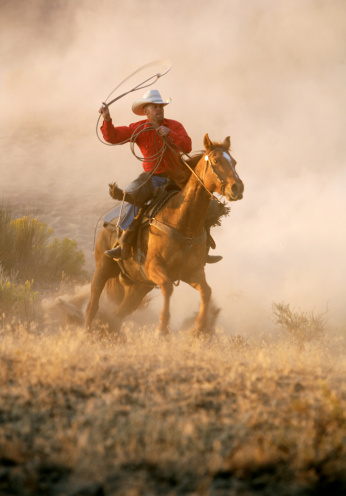 cowboy roping and riding