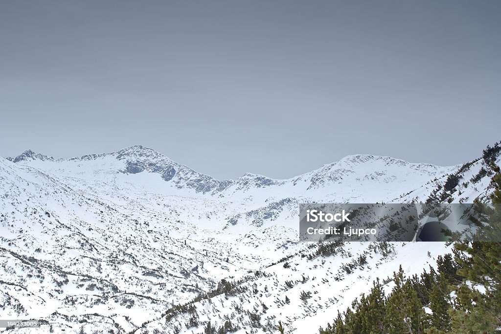 Winter-Szene von national park Pirin, Bulgarien - Lizenzfrei Anhöhe Stock-Foto