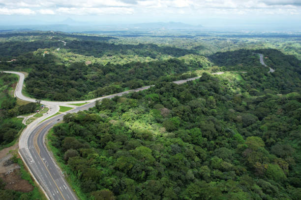 istock Highway road on green jungle background 1442330927
