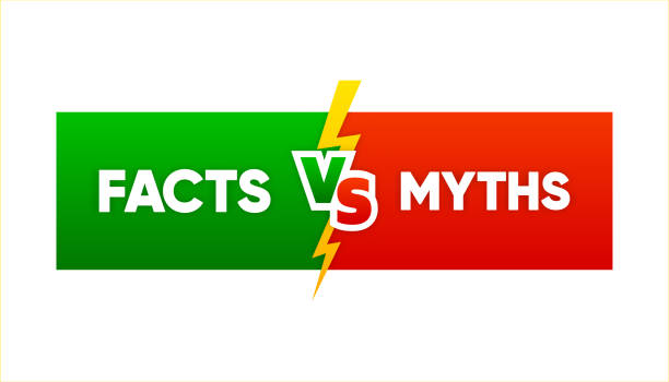 ilustrações de stock, clip art, desenhos animados e ícones de thin linear geometry speech banner with facts and myths. concept of thorough fact checking or easy compare evidence. vector illustration. - 3675