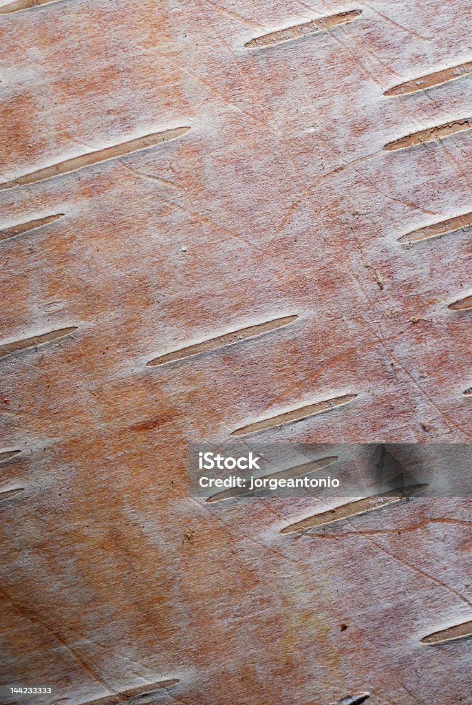 Baumrinde Textur Hintergrund-Pink Birch - Lizenzfrei Abstrakt Stock-Foto