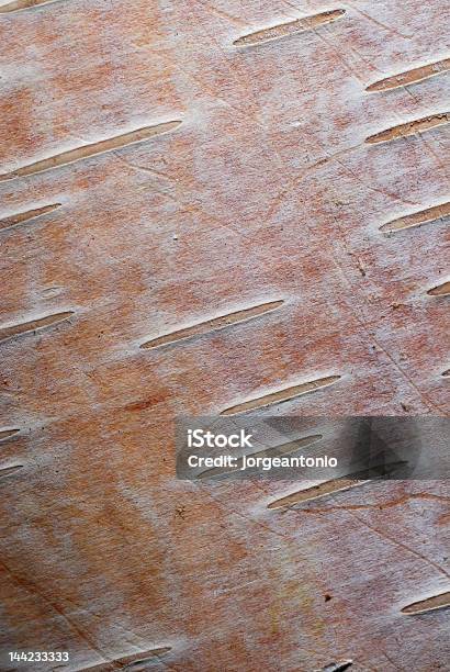 Baumrinde Textur Hintergrundpink Birch Stockfoto und mehr Bilder von Abstrakt - Abstrakt, Baum, Baumrinde