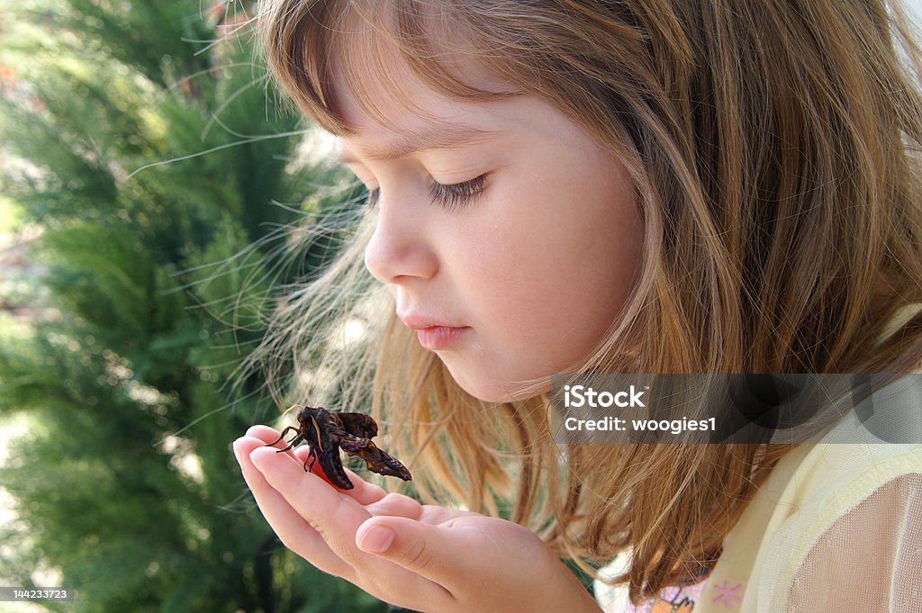 Curious A beautiful young girl holding a moth Animal Wildlife Stock Photo