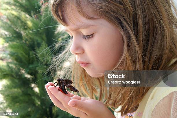 Curious Stock Photo - Download Image Now - Animal Wildlife, Awe, Beautiful People