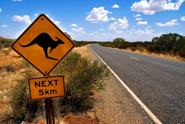 istock Kangaroo sign next to the highway, Australia 144233798