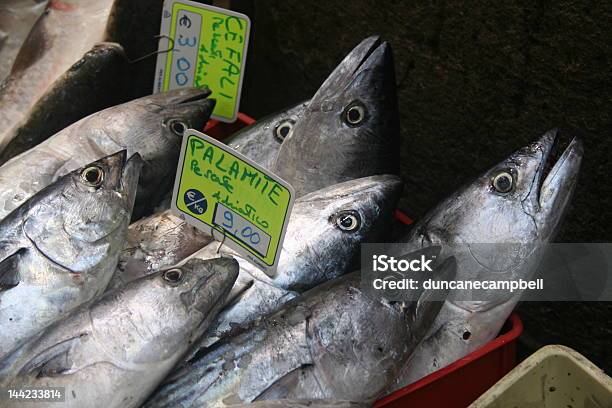 Ryby Na Obiad - zdjęcia stockowe i więcej obrazów Błyszczący - Błyszczący, Etykieta, Europa - Lokalizacja geograficzna