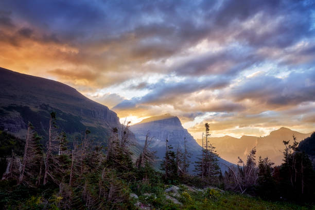 The sky glows as the sun emerges to bathe an alpine meadow in late summer on Logan Pass in Glacier National Park, Montana