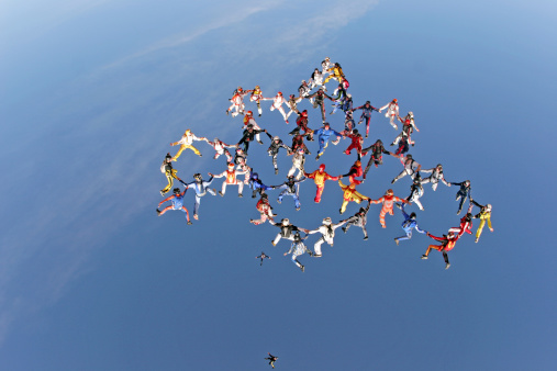 54-way Freefly Formation