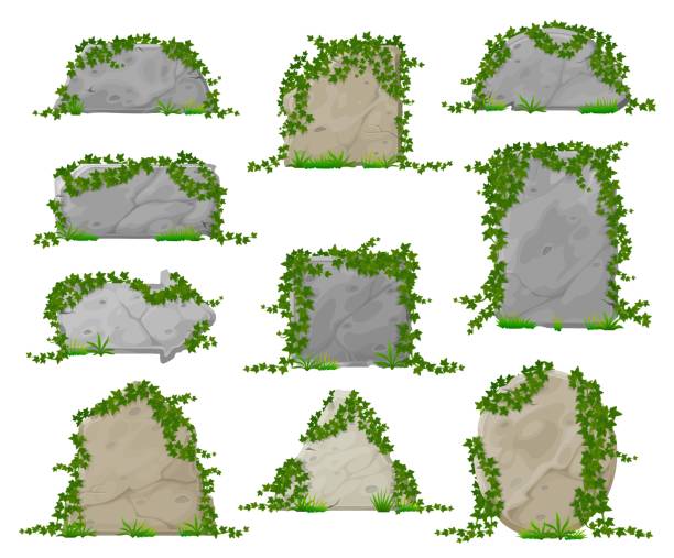 ilustrações de stock, clip art, desenhos animados e ícones de cartoon stone boards in ivy leaves, rock blocks - fern forest ivy leaf