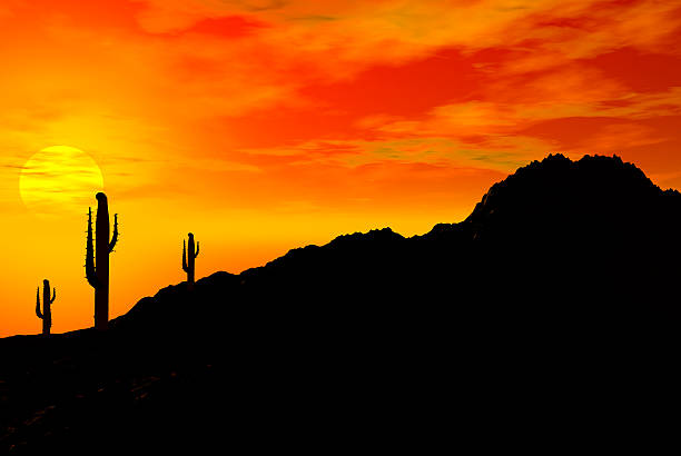 stan arizona - arizona phoenix desert tucson zdjęcia i obrazy z banku zdjęć