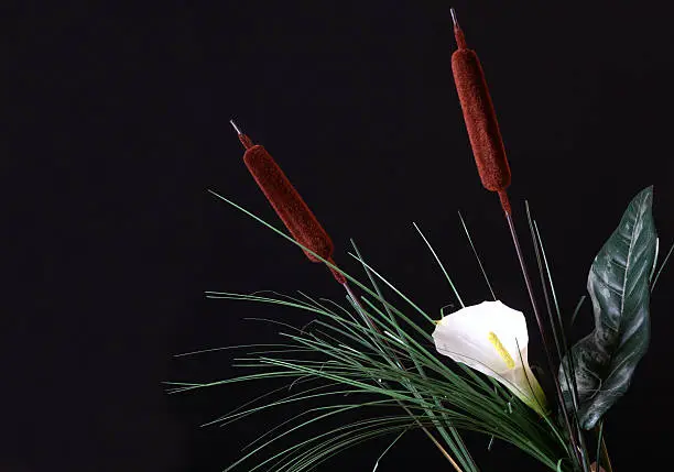 cattails and calla lily  in bouquet