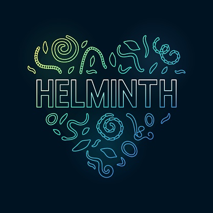 Helminth vector concept heart-shaped colorful banner - Modern illustration with Tapeworms, Nematodes, Pinworms linear signs on dark background
