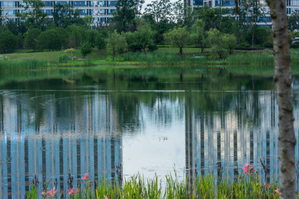 istock green plant landscape on the lake 1442360077