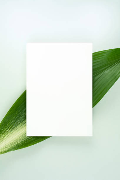 istock Flowers and Cards Mock-up 1442362537