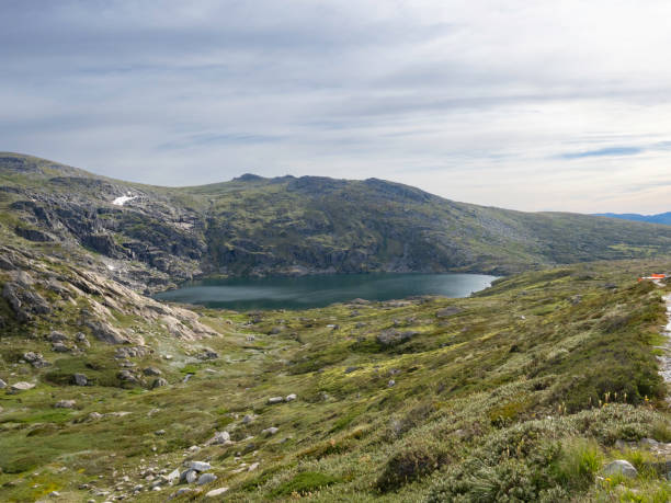 горное озеро в национальном парке костюшко - kosciuszko national park стоковые фото и изображения