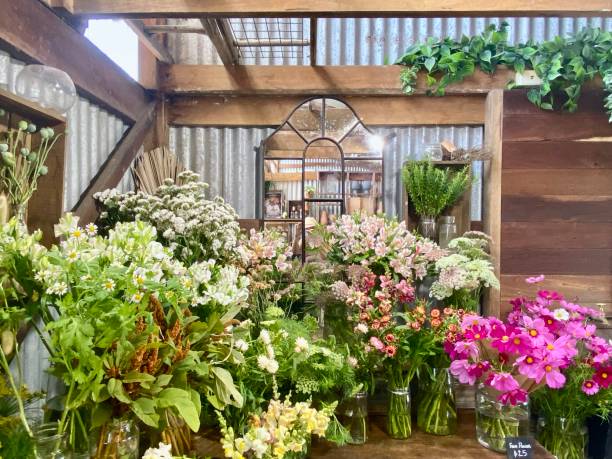 Country Flower Bunches in Bloom stock photo