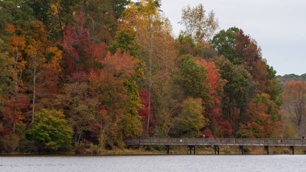 istock Fall Colors in North Carolina 1442374910