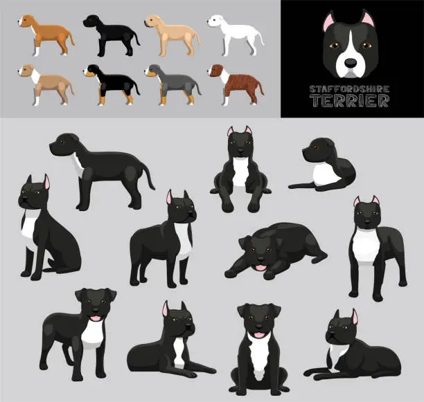Vector illustration of Dog Staffordshire Terrier Black Coat Cartoon Vector Illustration Color Variation Set